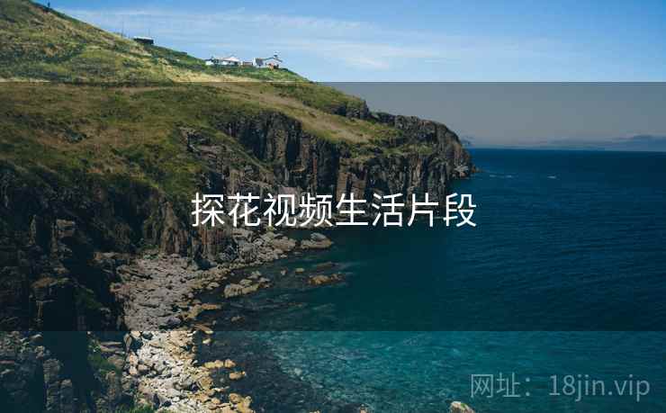 探花视频生活片段 探花视频生活片段