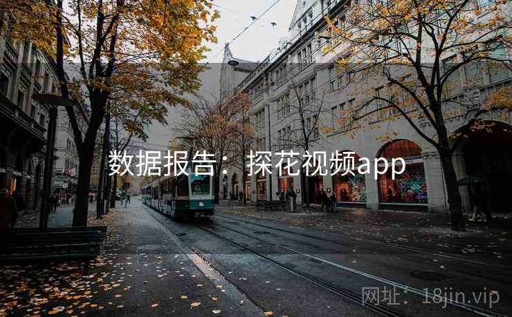 数据报告：探花视频app
