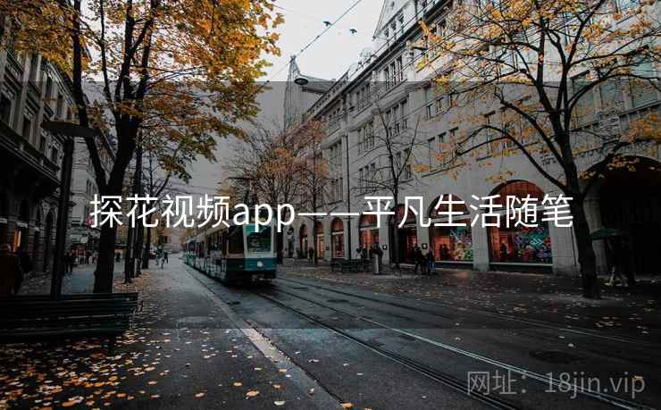 探花视频app——平凡生活随笔
