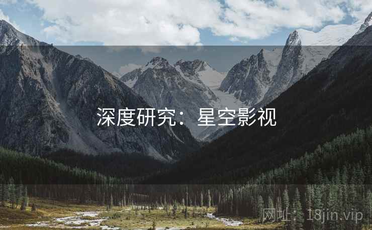 深度研究：星空影视