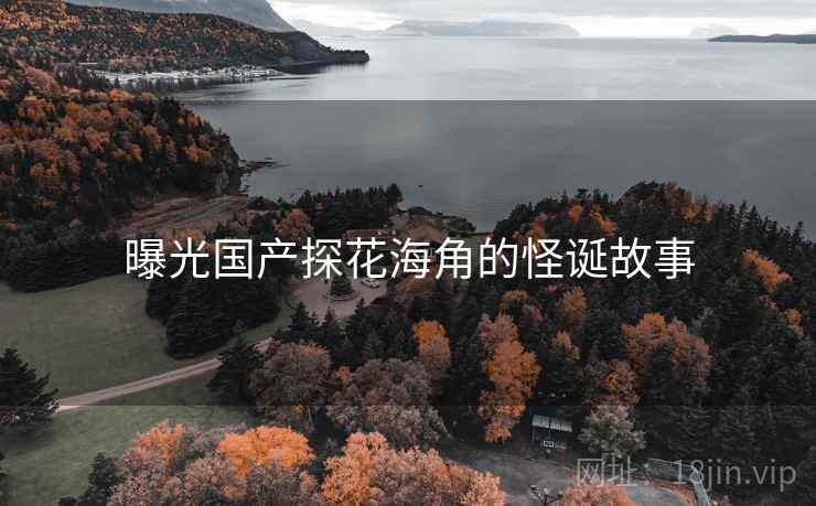 曝光国产探花海角的怪诞故事