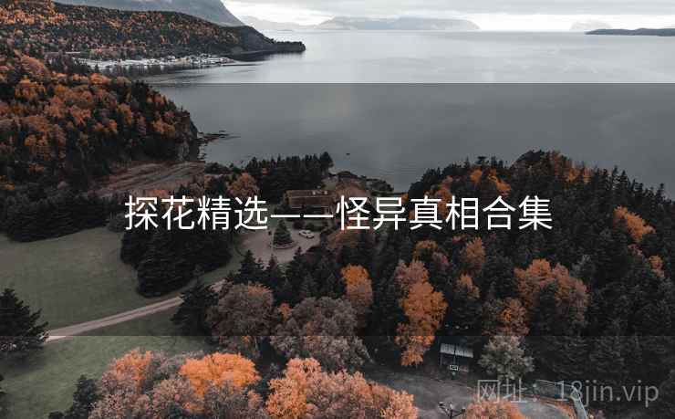 探花精选——怪异真相合集