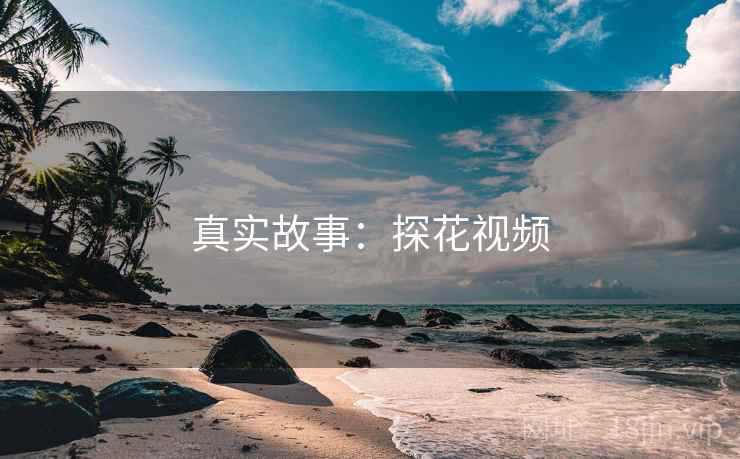 真实故事：探花视频