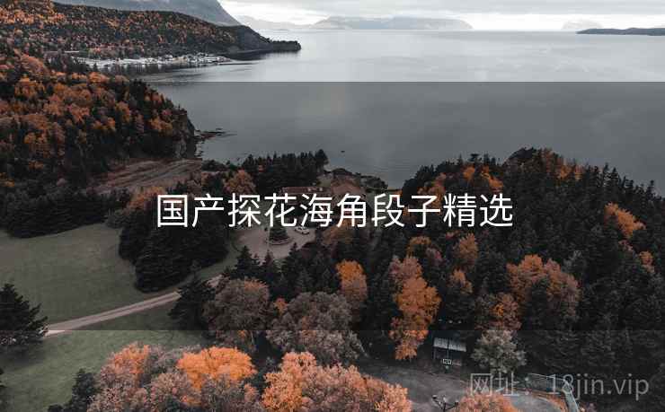 国产探花海角段子精选 国产探花海角段子精选