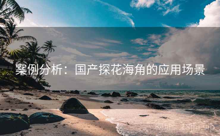案例分析：国产探花海角的应用场景