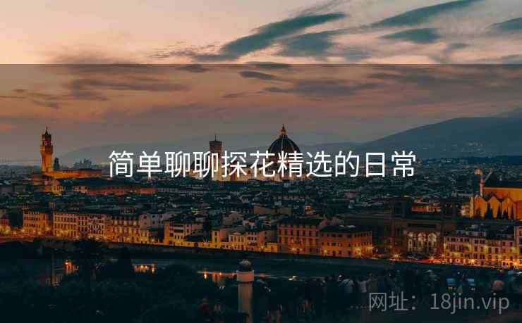 简单聊聊探花精选的日常