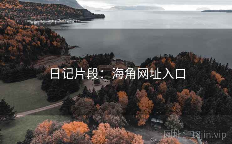 日记片段：海角网址入口